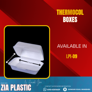 Thermocol Box Lpi 09